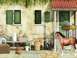 House Courtyard