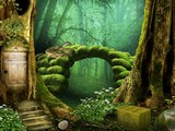 Mysterious Forest