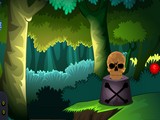 Pristine Forest Escape