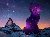 Animal Galaxy Escape
