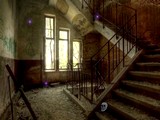 Asylum XX