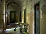Noisy Asylum