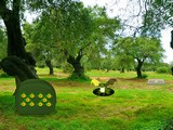 Olive Tree Forest Escape