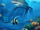 Underwater Flight Recorder Retrieval