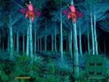 Scary Bat Forest Escape
