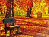Autumn Forest Turkey Escape