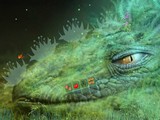 Caterpillar Life Cycle Escape