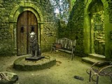 Old Wine Cellar