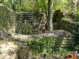 Escape Ruined Monastery