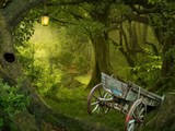 Escape Tropical Jungle