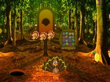 Turkey Forest Return Escape