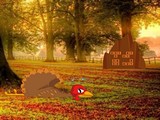 Wake Up Giddiness Turkey