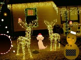 Christmas Lights Street Escape