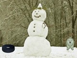 Panda Snow Forest Escape