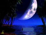 Little Zebra Moon Forest Escape