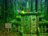 Suicide Forest Escape