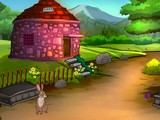Ancient Forest Donkey Rescue