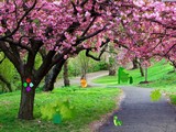 Lovers Park Escape