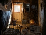 New 1 Everyday 19
