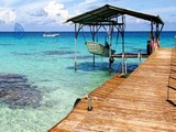 Shell Resort Escape