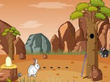 Bunny Forest Escape