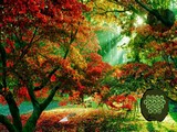 Easter Bunny Autumn Forest Escape