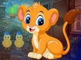 Find Lion Cub