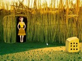 Rescue Girl from Desert Cactus