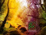 Fantasy Forest Woodpecker Escape
