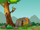 Deer Adventure