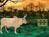 Fire Forest Bull Escape