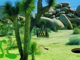 Joshua Tree Forest Snake Escape