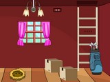 Lower Level Room Escape