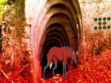 Red Wolf Forest Escape