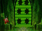 Southern Forest Escape