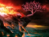 Volcano Treasure Hunt Escape
