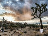 Oasis Desert Escape