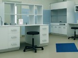 Organic Chemical Lab Escape