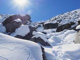 Snow Owl Escape