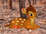 Help the Injured Deer