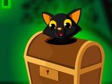 Rescue the Black Cat from Box