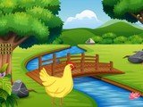 Help Hen to Release Chick