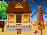 Great Ant Family Rescue