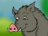 Jungle Boar Rescue