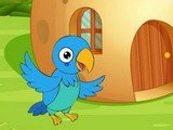 Stuck Macaw Reached Hut