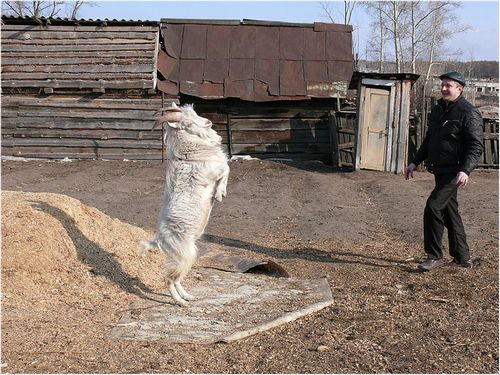 Фотоприколы